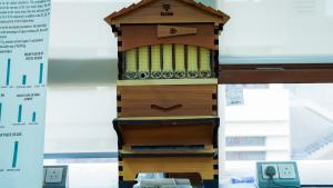 الجامعة تدرب اكثر من ١٠٠ مستفيد على تربية النحل وانتاج العسل