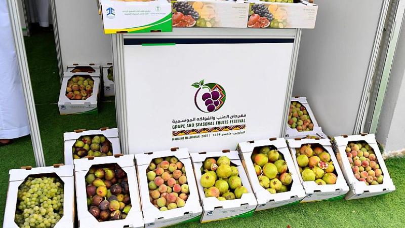 انطلاقُ فعالياتِ مهرجان العنب والفواكه الموسميَّة بمنطقة عسير