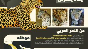 انفوجرافيك.. الزلازل..الإدمان.. الحياة البرية..