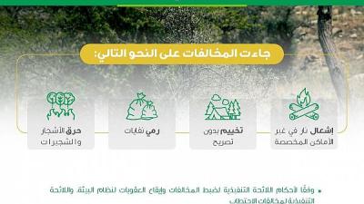 مركز الغطاء النباتي يسجل أكثر من 80 مخالفة إضرار بالبيئة في منطقة عسير