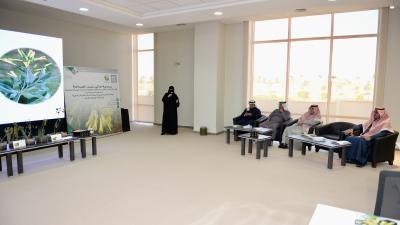 النباتات الغازية النباتات الغازية
