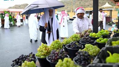 تدشين مهرجان "الفواكه الموسمية" بمحافظة أحد رفيدة