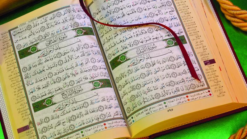 تهتم بربط الطالبات بالقرآن العظيم.. د هانم عوض: أبحث في دور العلم الشرعي وتفعيل معالجاته للمشكلات المعاصرة