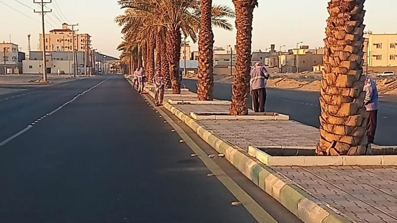 بلدية بيشة بلدية بيشة