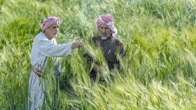 زراعةُ عسير تستقبلُ وفدَ الصندوق الدولي للتنمية الزراعية