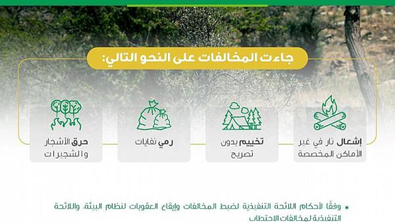 مركز الغطاء النباتي يسجل أكثر من 80 مخالفة إضرار بالبيئة في منطقة عسير