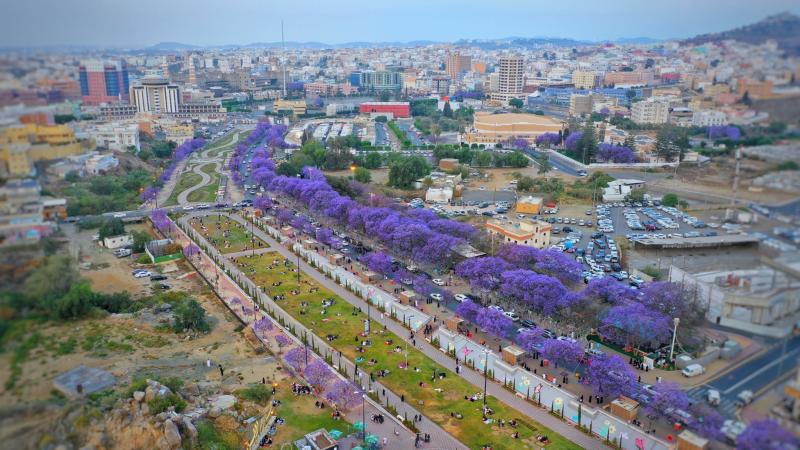أبها تستضيف مجموعة الأخضر في تصفيات كأس آسيا تحت 23 عاماً
