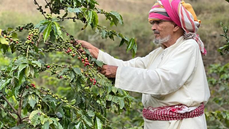 رجال ألمع.. نافذة اقتصادية عززت مكانتها السياحية في عسير